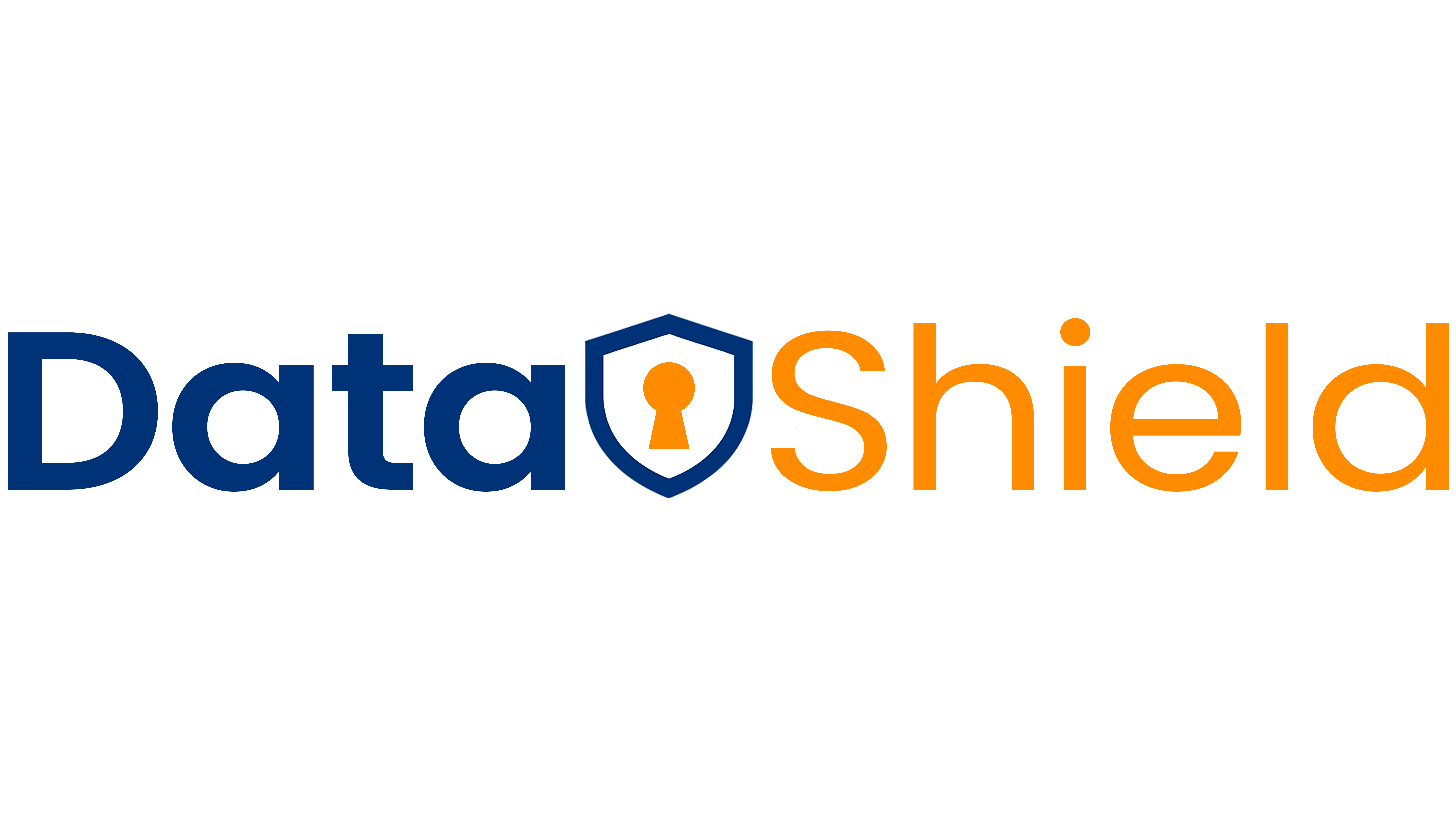 DataShield Logo